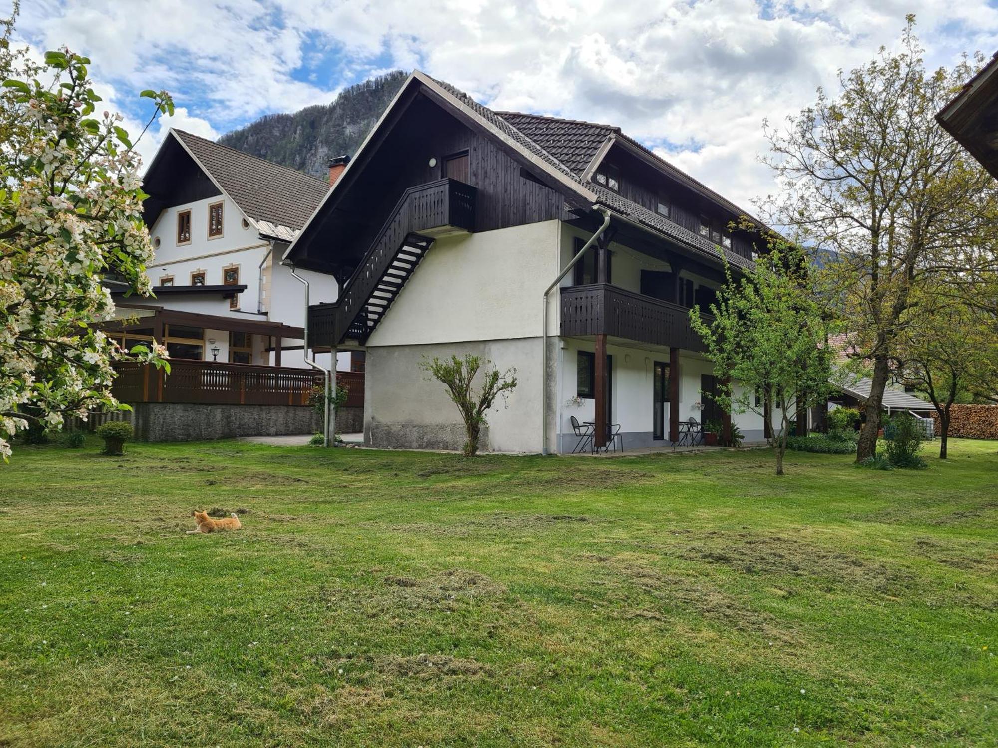 Gostilna Batist Bed and Breakfast Bohinjska Bela Εξωτερικό φωτογραφία