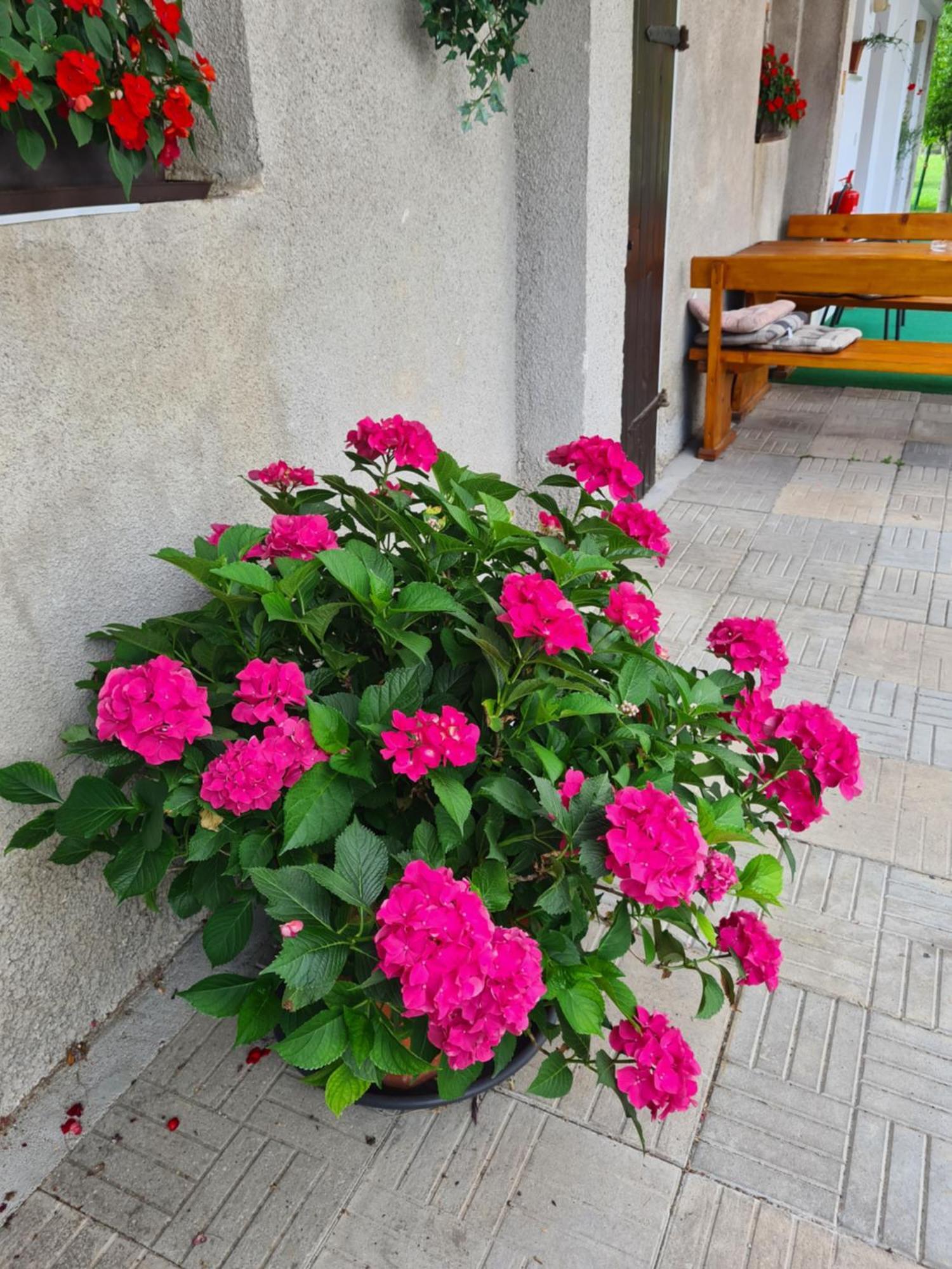 Gostilna Batist Bed and Breakfast Bohinjska Bela Εξωτερικό φωτογραφία