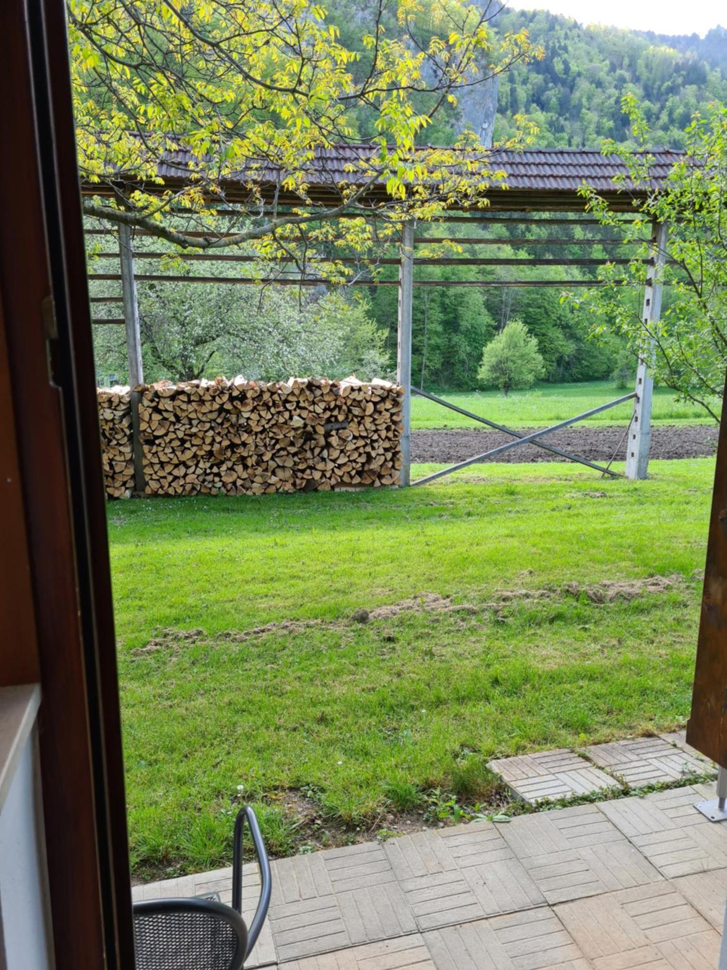 Gostilna Batist Bed and Breakfast Bohinjska Bela Εξωτερικό φωτογραφία