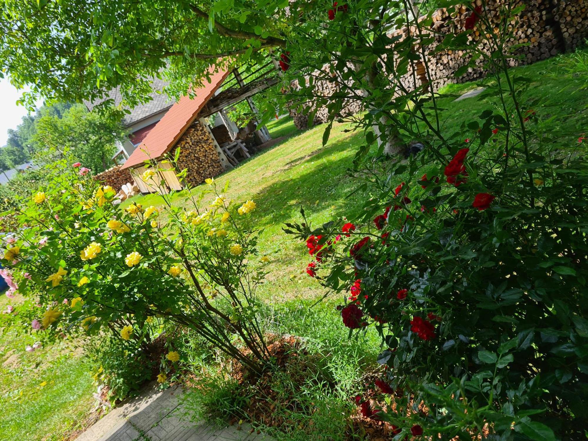 Gostilna Batist Bed and Breakfast Bohinjska Bela Εξωτερικό φωτογραφία