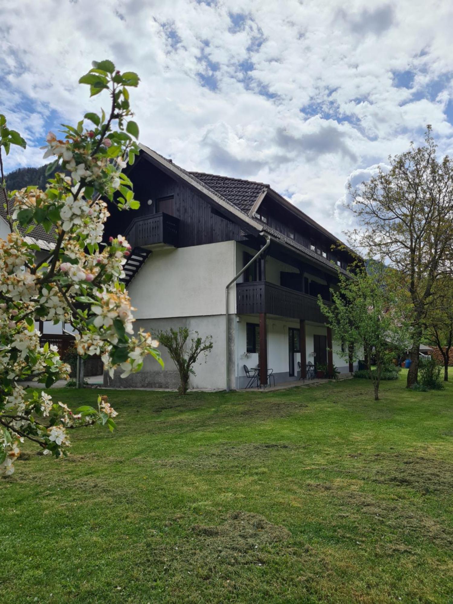 Gostilna Batist Bed and Breakfast Bohinjska Bela Εξωτερικό φωτογραφία