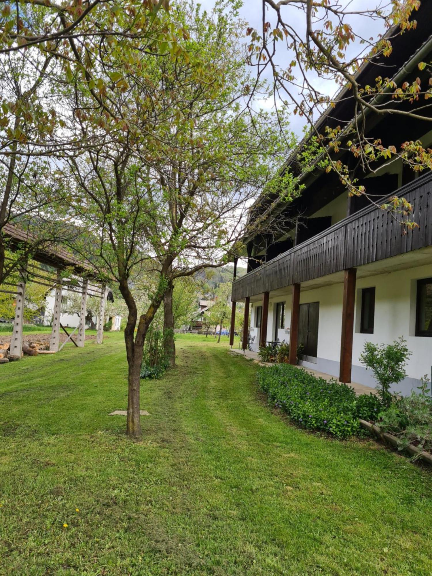 Gostilna Batist Bed and Breakfast Bohinjska Bela Εξωτερικό φωτογραφία